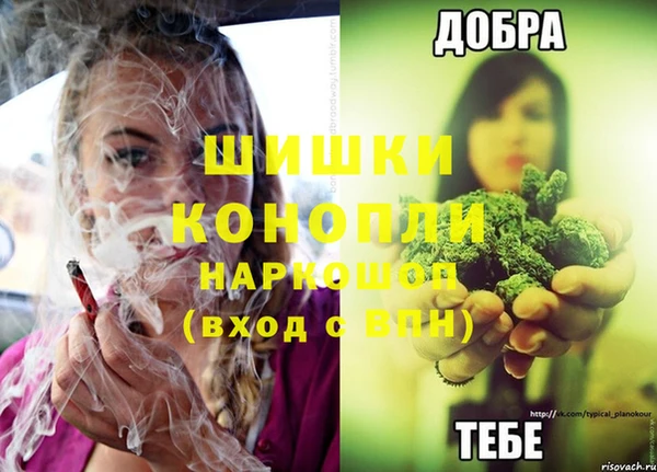 гидропоника Покровск