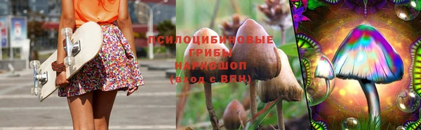 стафф Барнаул
