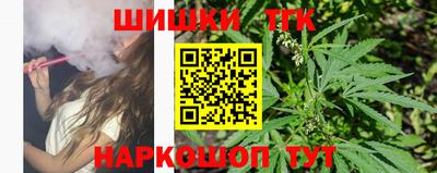 сатива Аргун