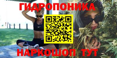 сатива Аргун