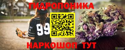 гидра Аргун