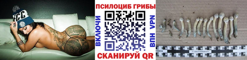Псилоцибиновые грибы Magic Shrooms  наркотики  Белогорск 