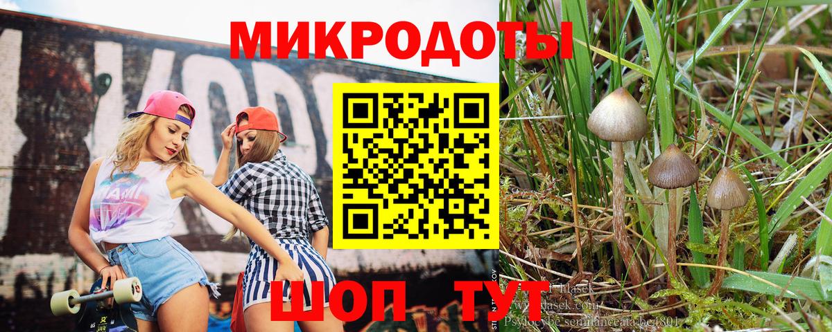 где найти   Белогорск  Галлюциногенные грибы GOLDEN TEACHER 