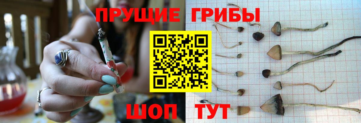 Галлюциногенные грибы MAGIC MUSHROOMS  Псилоцибиновые грибы Magic Shrooms  Белогорск  Вход с VPN 