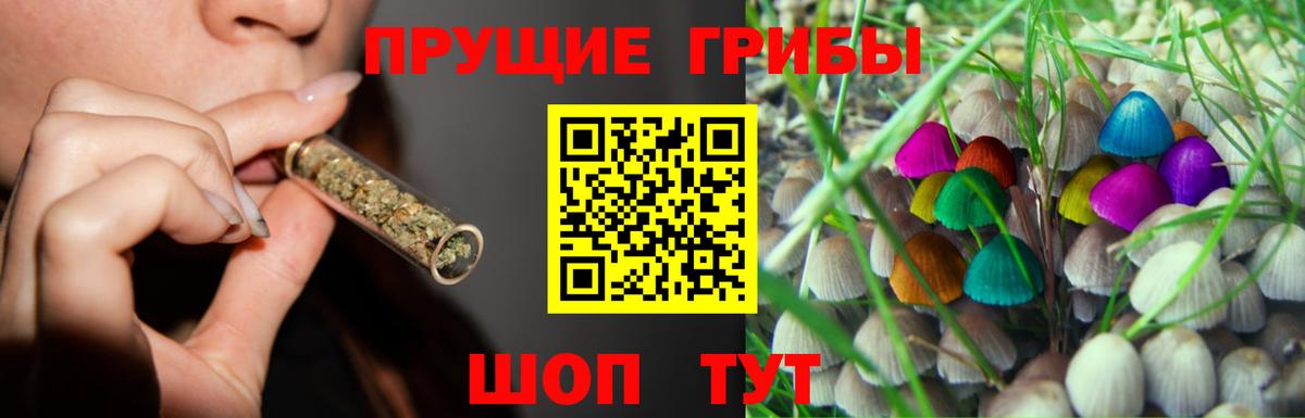 Псилоцибиновые грибы Magic Shrooms Белогорск